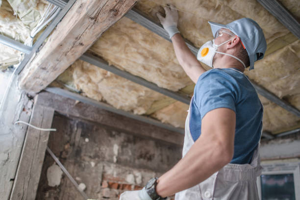 Insulation Contractors for Homes in Lake Crystal, MN
