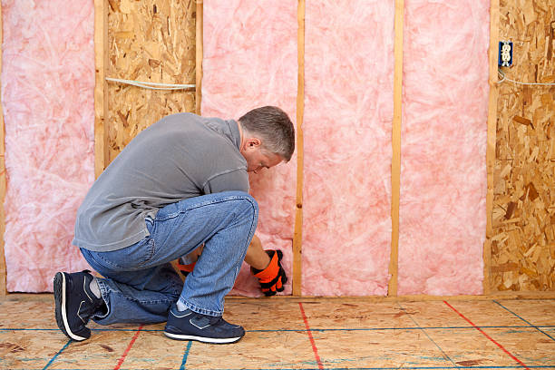 Attic Insulation Near Me in Lake Crystal, MN